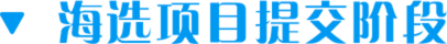 海选项目提交阶段