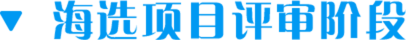 海选项目评审阶段